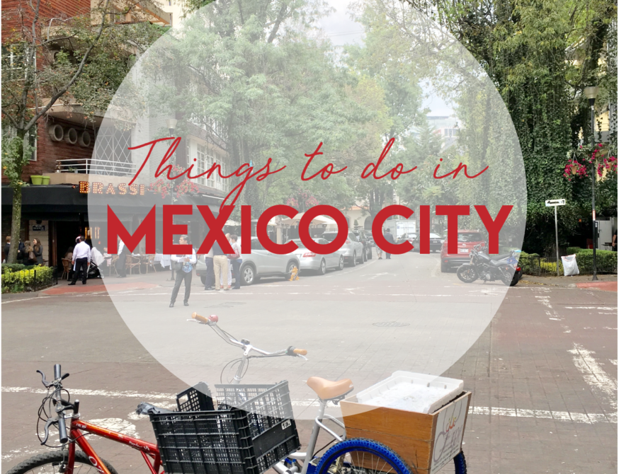 travel guide: things to do in mexico city